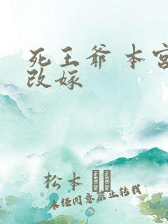 死王爷 本宫已改嫁