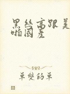 黑丝高跟美女啪啪国产