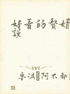 好看的赘婿类小说