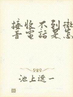 接收不到微信语音电话是怎么回事