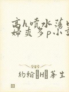 高h喷水荡肉少妇爽多p小说