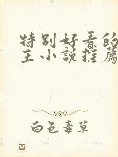 特别好看的双男主小说推荐