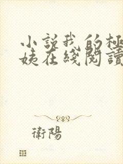 小说我的极品小姨在线阅读