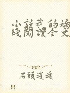 小说我的娇妻在线阅读全文