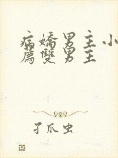 病娇男主小说推荐双男主