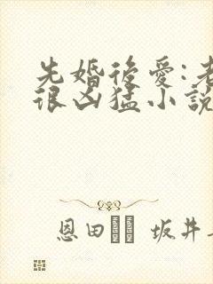 先婚后爱:老公很凶猛小说电子版txt