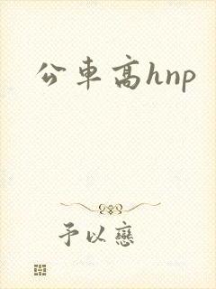 公车高hnp