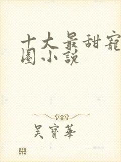 十大最甜宠娱乐圈小说