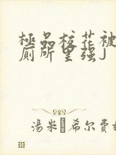 极品校花被拉到厕所里强J