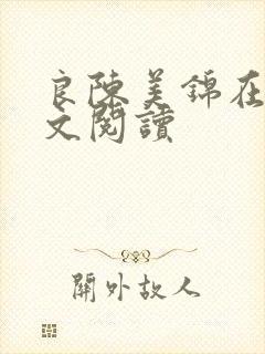 良陈美锦在线全文阅读