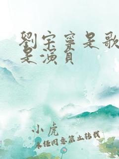 刘宇宁是歌手还是演员