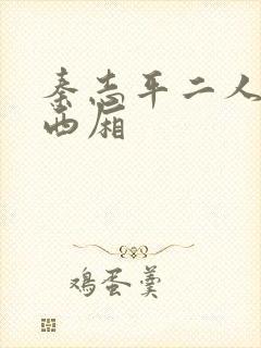 秦志平二人转老西厢