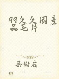 99久久国产精品毛片