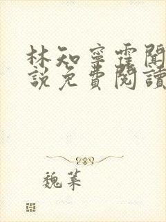 林知宁霍闻城小说免费阅读最新章节