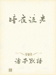 暗夜流光