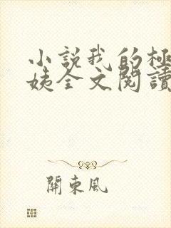 小说我的极品小姨全文阅读