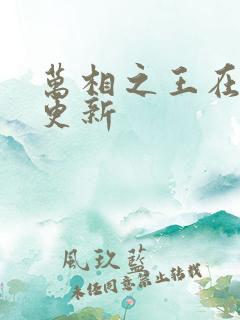 万相之王在那里更新