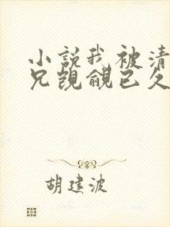 小说我被清冷师兄觊觎已久小说