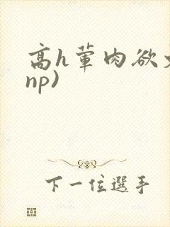高h荤肉欲文(np)