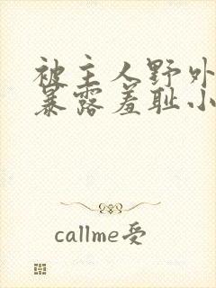 被主人野外调教暴露羞耻小说