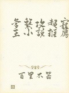 爹系攻超宠双男主小说推荐