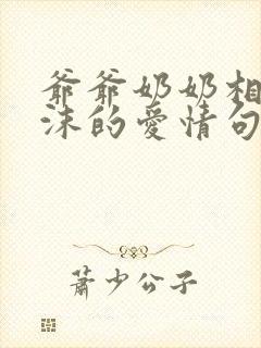 爷爷奶奶相濡以沫的爱情句子