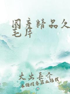 国产精品久久久毛片