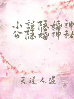 小说隐婚神秘老公隐婚神秘老公