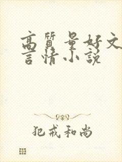 高质量好文笔的言情小说