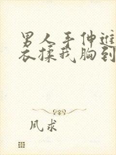 男人手伸进我内衣揉我胸到爽