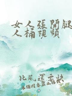 女人张开腿让男人桶视频