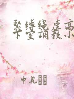 紧缚绳虐高潮地下室调教小说