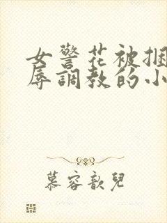 女警花被捆绑屈辱调教的小说