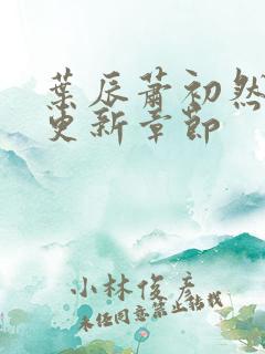 叶辰萧初然最快更新章节