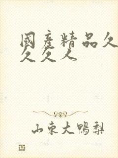 国产精品久久久久久人