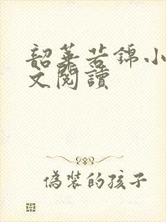 韶华若锦小说全文阅读