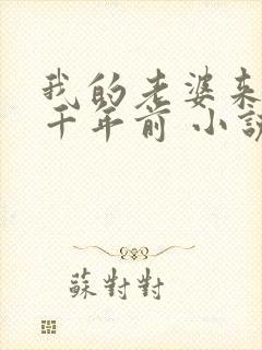 我的老婆来自一千年前 小说