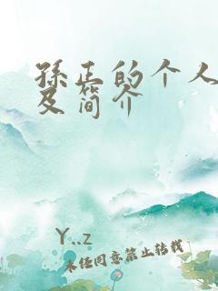 孙正的个人资料及简介