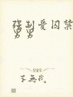 强制爱囚禁调教男男