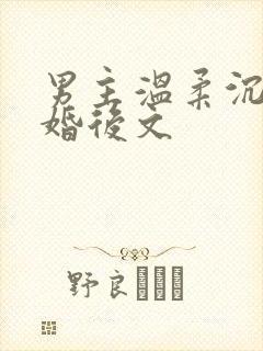 男主温柔沉稳的婚后文
