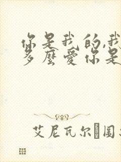 你是我的,我是多么爱你是什么歌名?