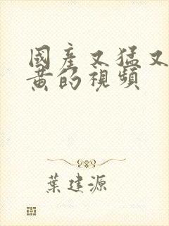 国产又猛又爽又黄的视频