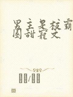 男主是校霸的校园甜宠文