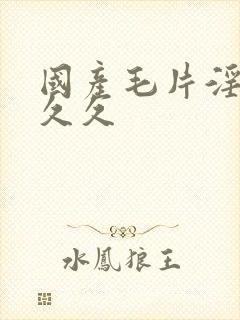 国产毛片淫片久久久