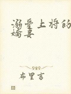 溺爱上将的宝贝娇妻