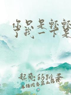 你只是轻轻的爱了我一下是什么歌