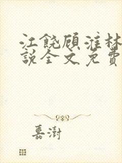 江饶顾淮林澈小说全文免费阅读