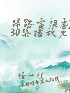 归路电视剧全集30集播放免费观看