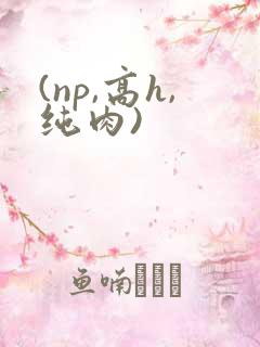 (np,高h,纯肉)