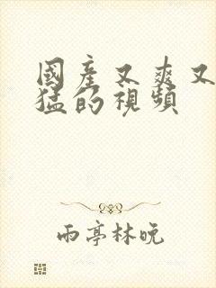 国产又爽又粗又猛的视频